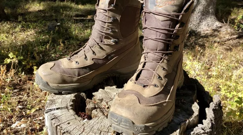 Danner Alsea Boots