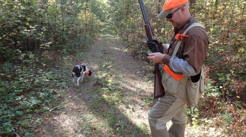 grouse hunter and dog