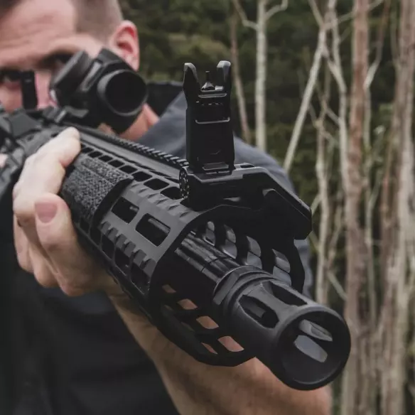 Magpul offset Iron sights