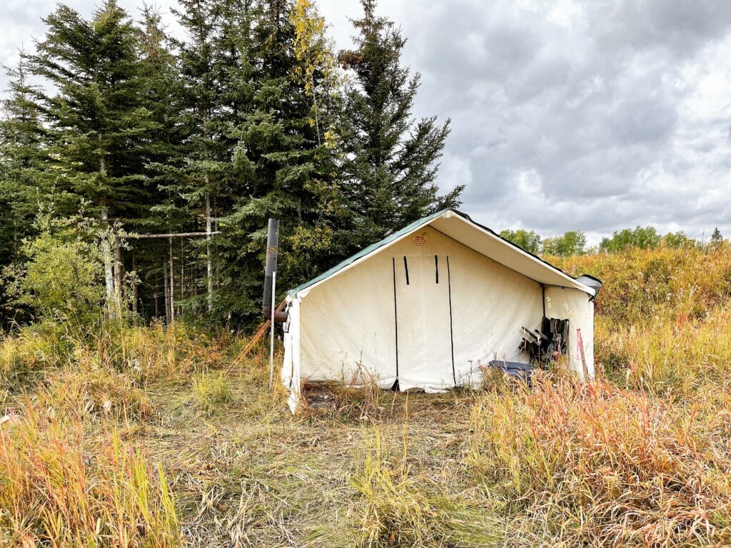 alberta moose hunting wall tent alberta moose hunting wall tent