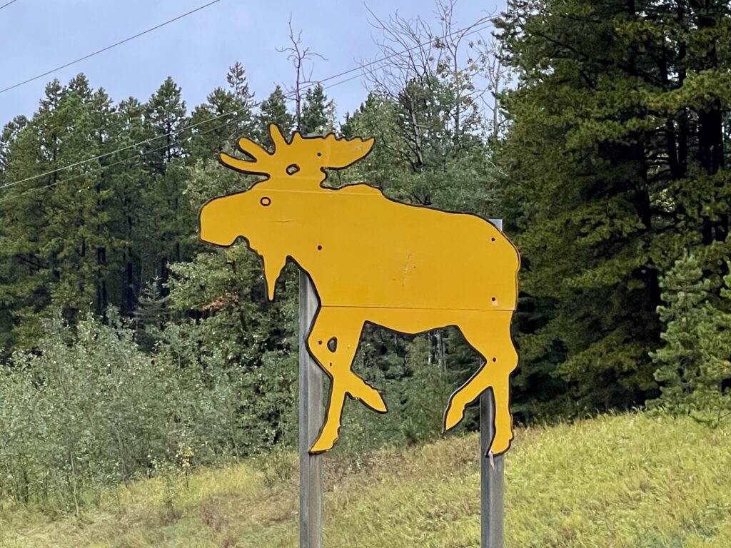 moose crossing sign moose crossing sign