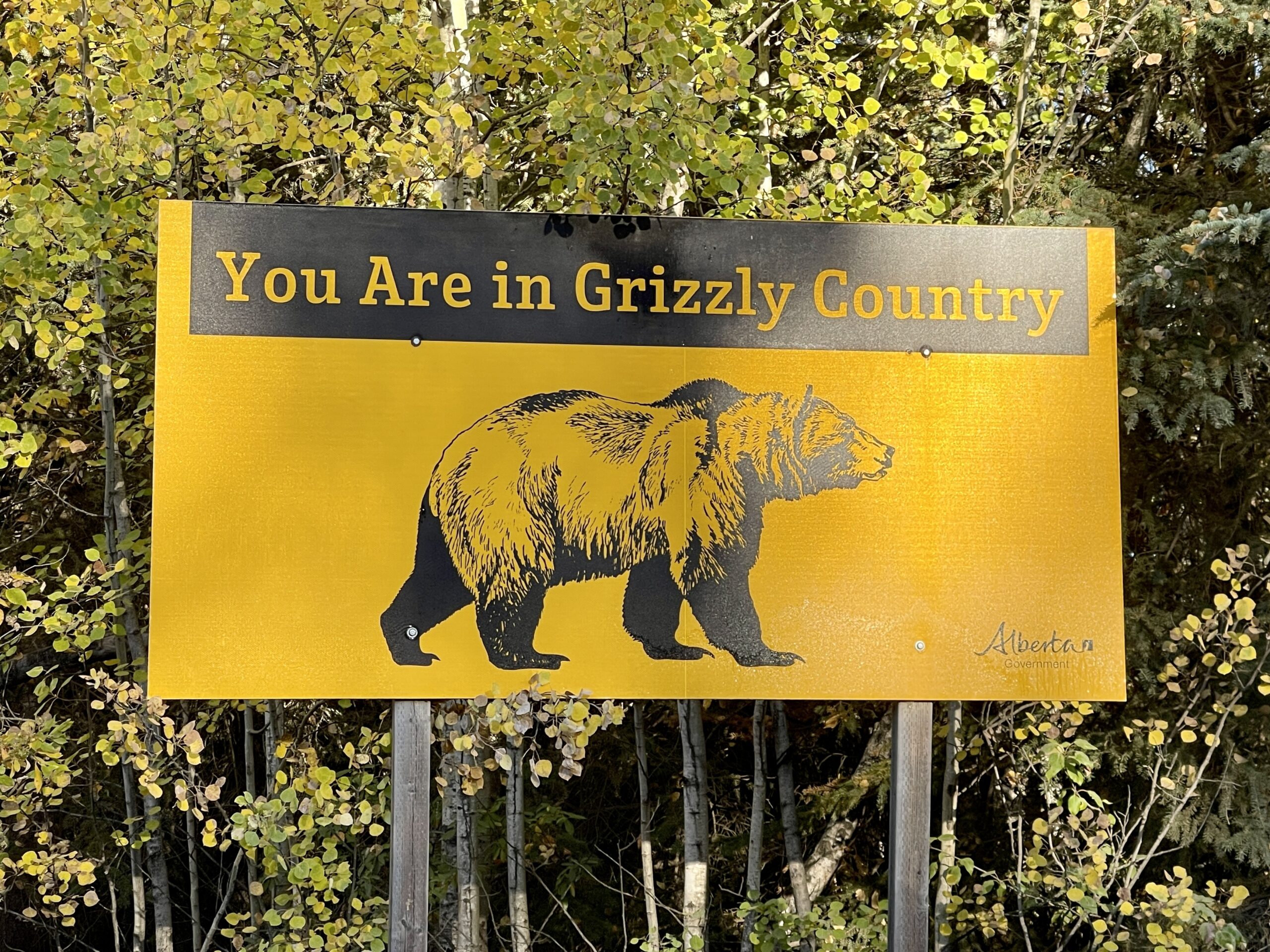 grizzly bear sign grizzly bear sign