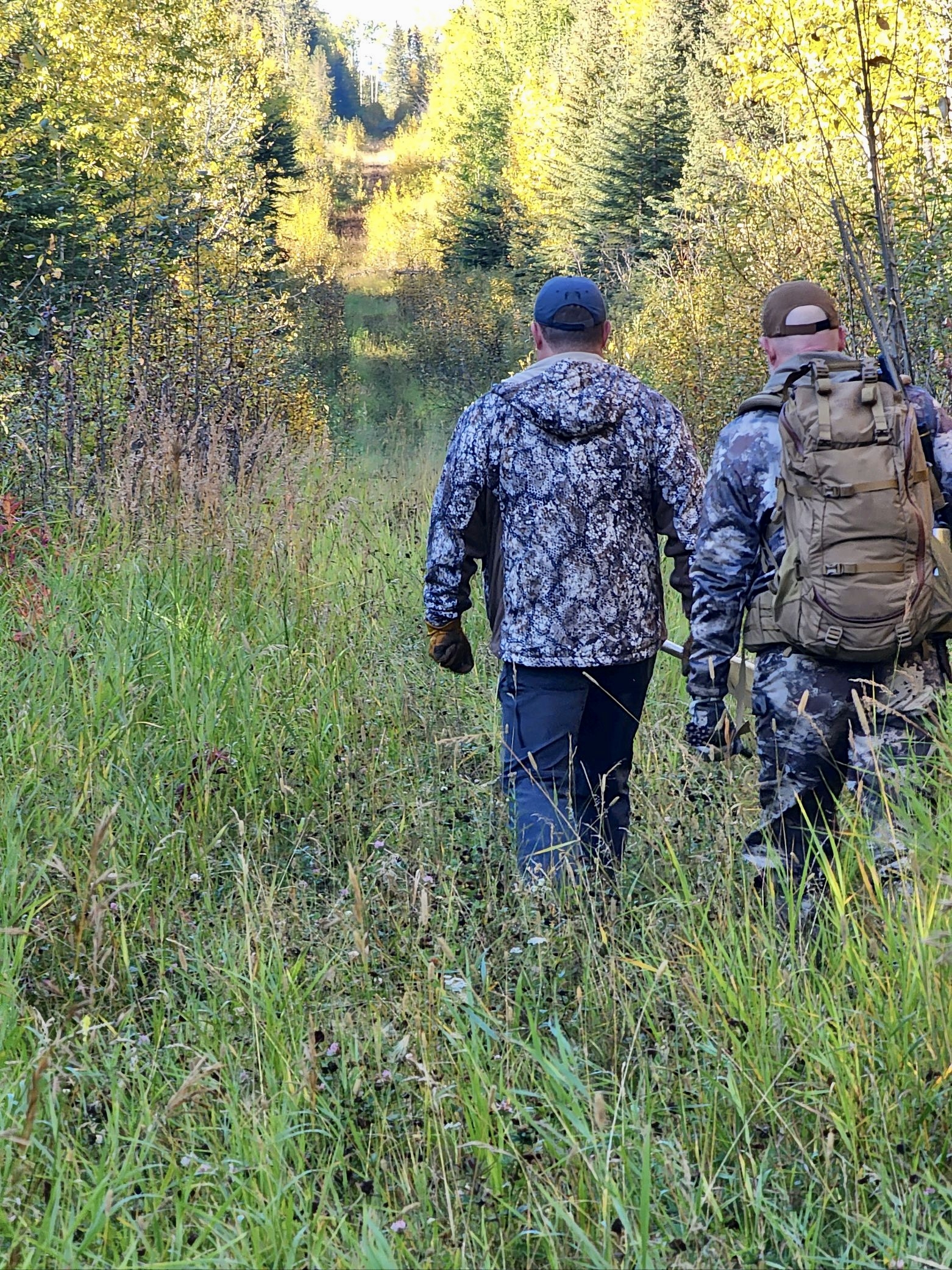 moose hunting moose hunting