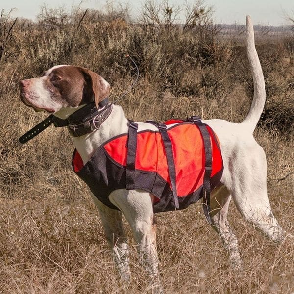 SYLMAR Body Guard Dog Vest